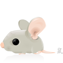 крыса